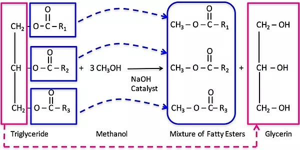 biodiesel equation_cater oils